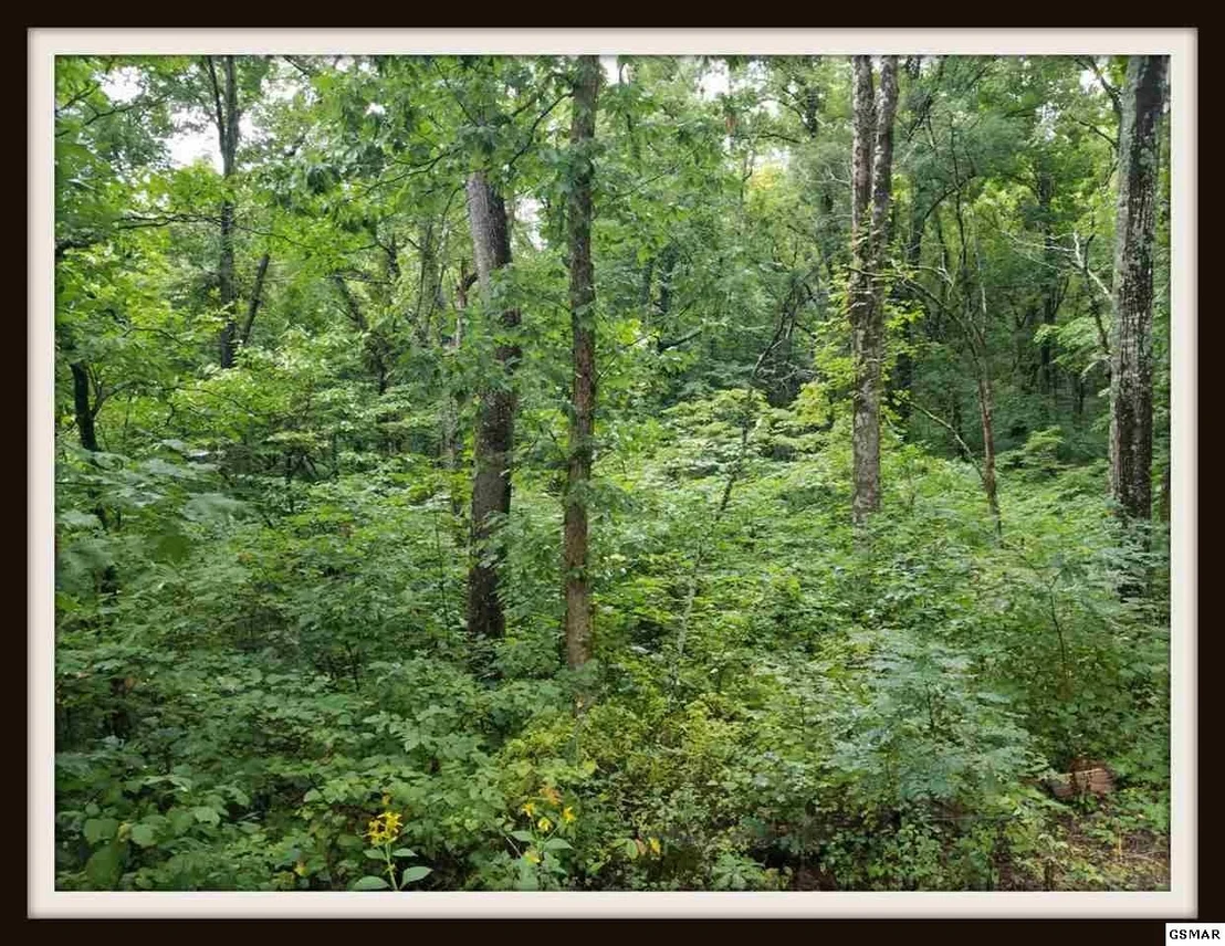 Photo of 9 Blowing Cave Road