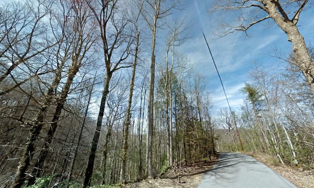 Photo of 466 Loop Road