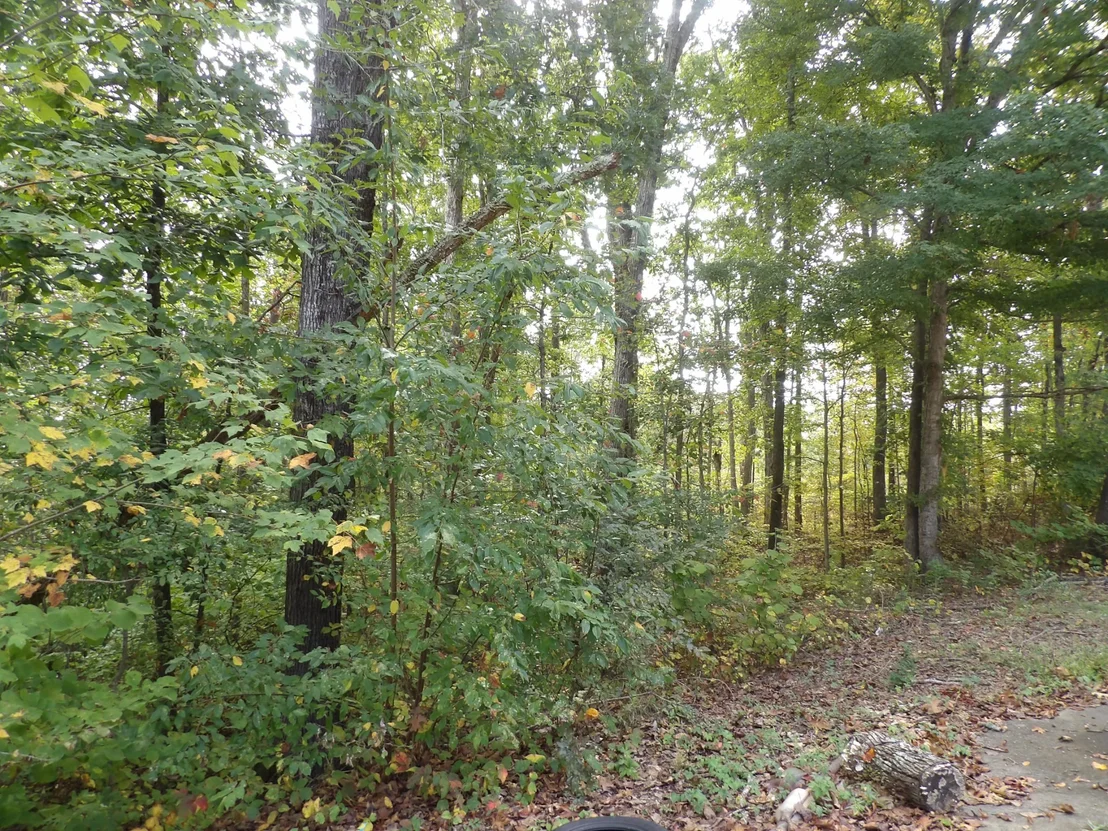 Photo of 112 Oak Ridge Dr