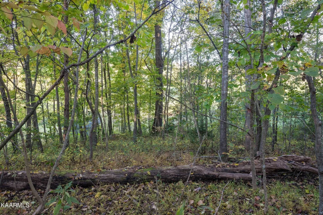 Photo of 6 Spring View Drive