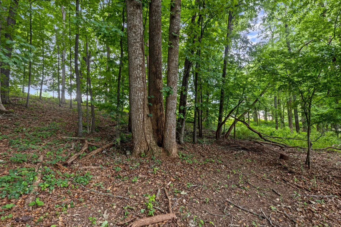 Photo of 7813 Clara Chase Drive