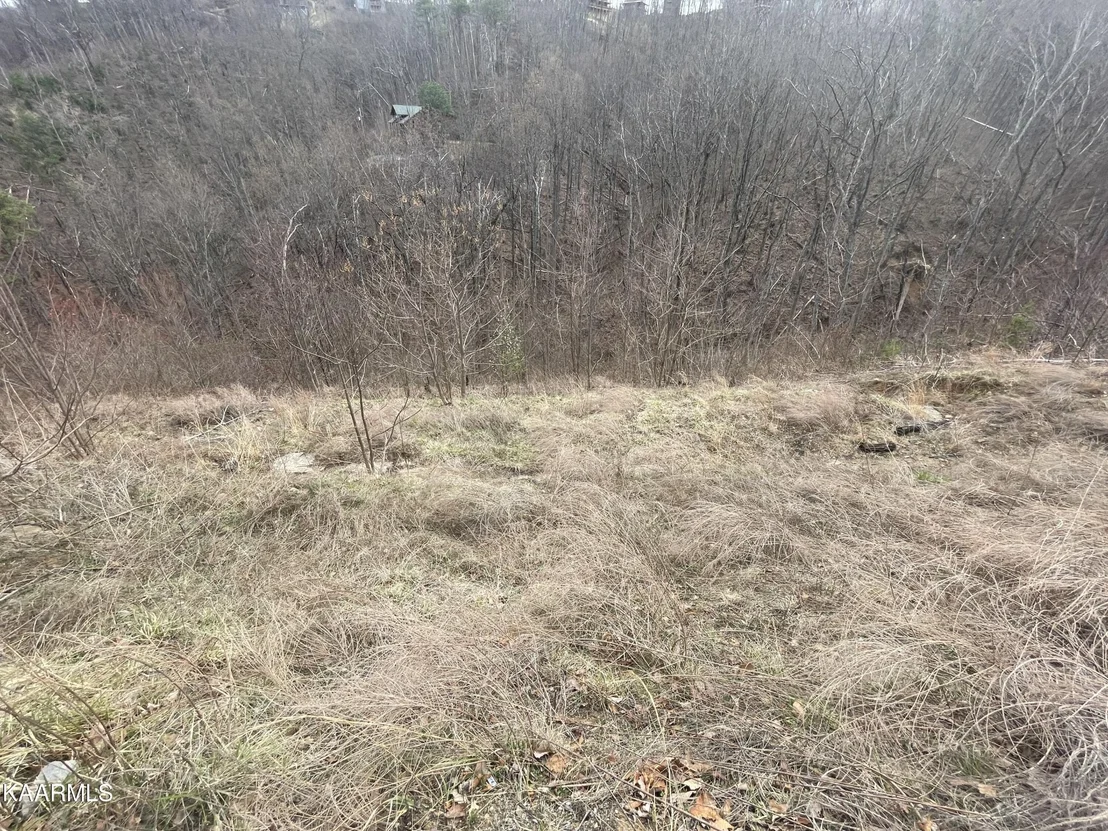 Photo of 646 Pinecrest Drive