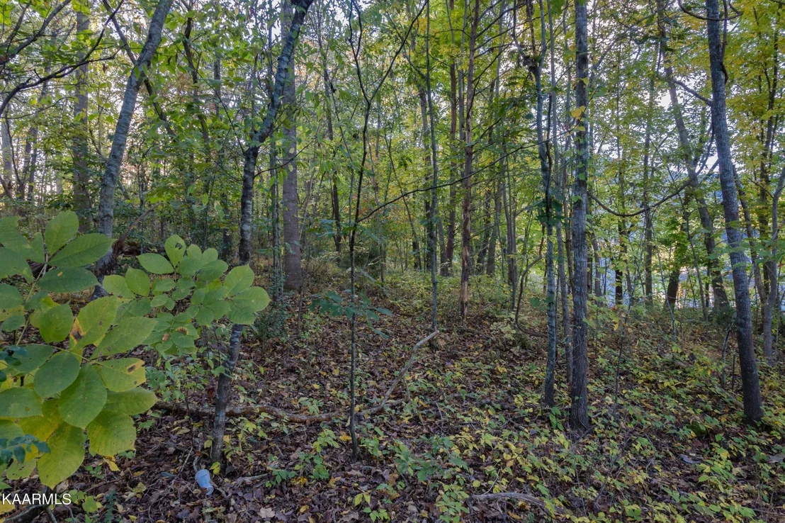 Photo of 6 Spring View Drive