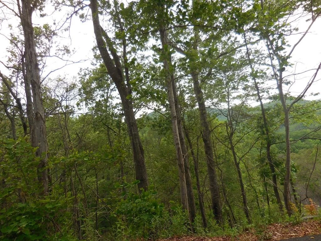 Photo of 6 Sugar Maple Loop Road