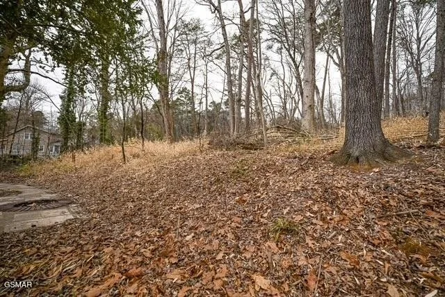 Photo of 613 Chilhowee School Road