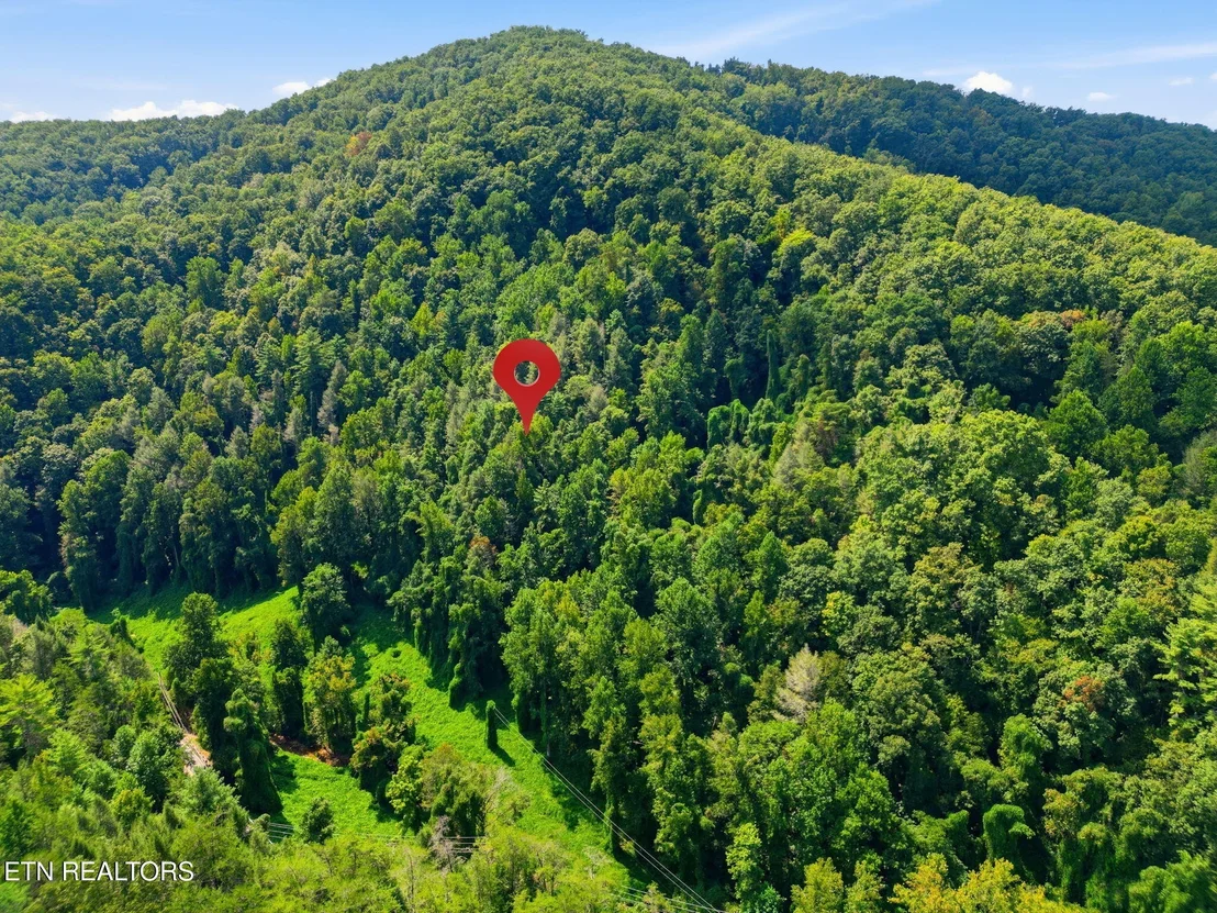 Photo of 3910 Wilhite Rd