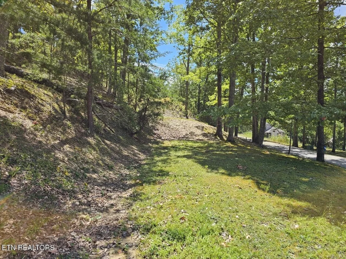 Photo of 0 Crown Circle