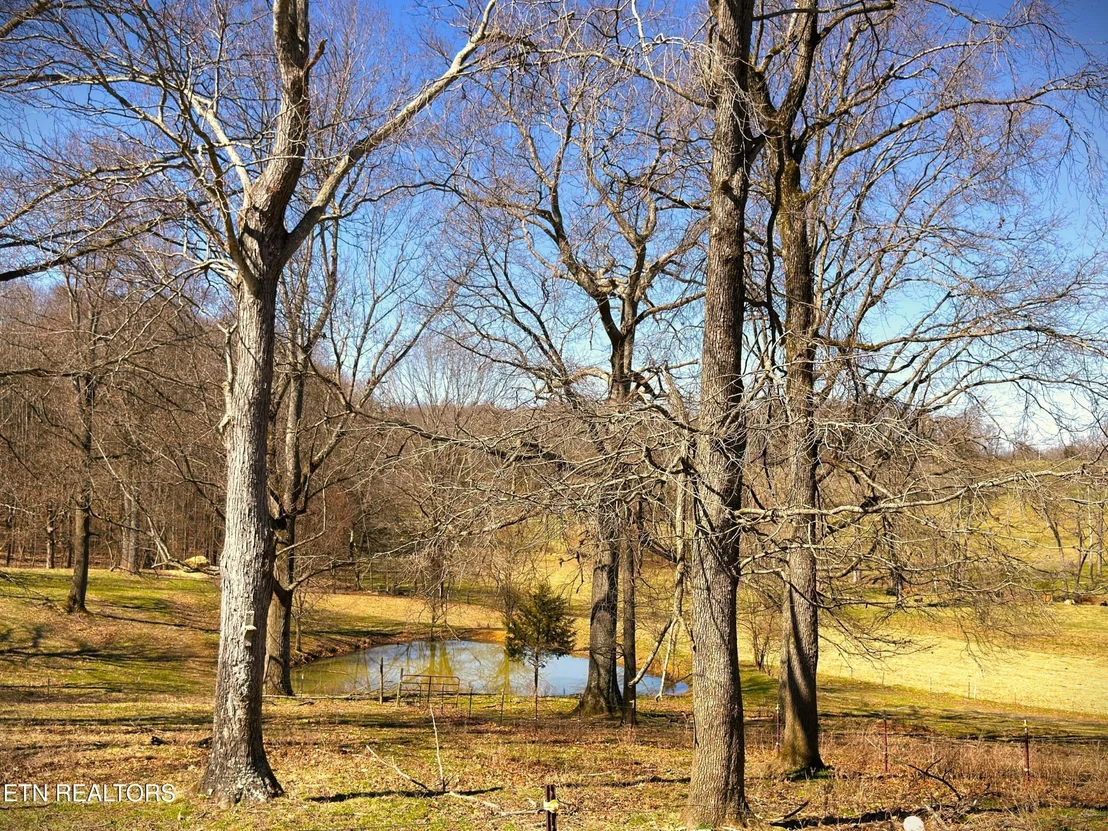 Photo of 1152 Dogwalk Rd