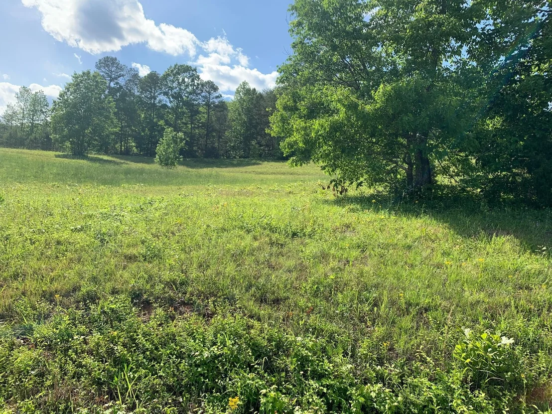 Photo of 29 Escape Drive