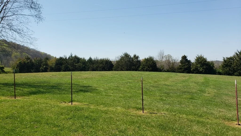 Photo of 339 Thomas Loop Road