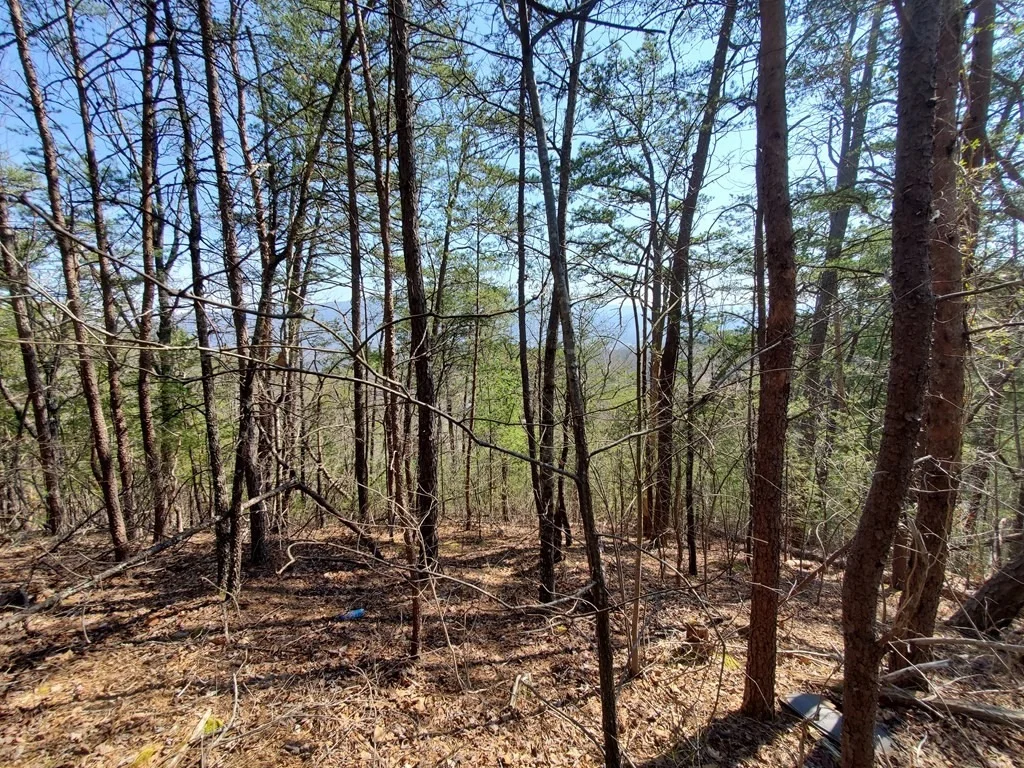 Photo of 2965 Indigo Lane