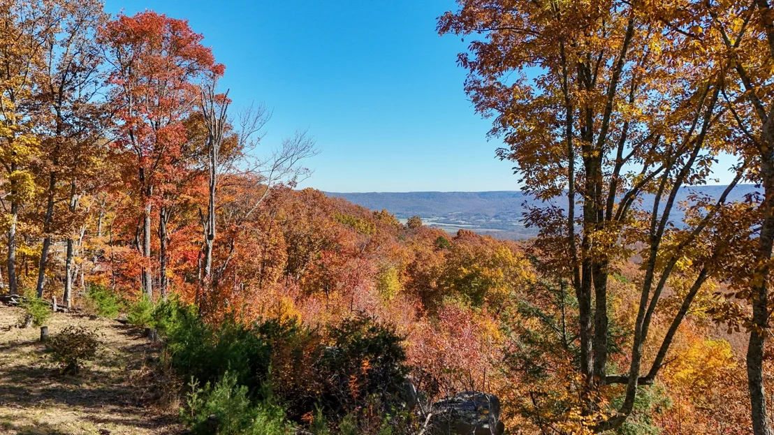 Photo of 400 Maple Trail