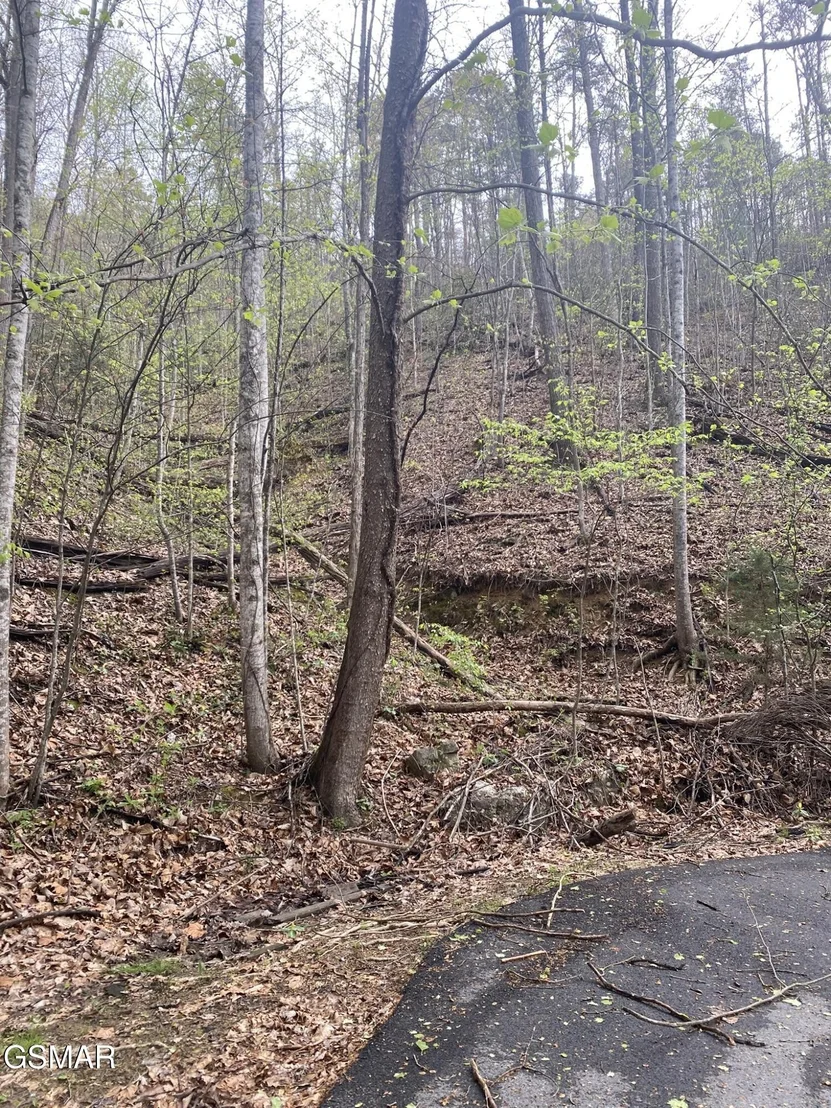 Photo of 2744 Black Walnut Flats Road
