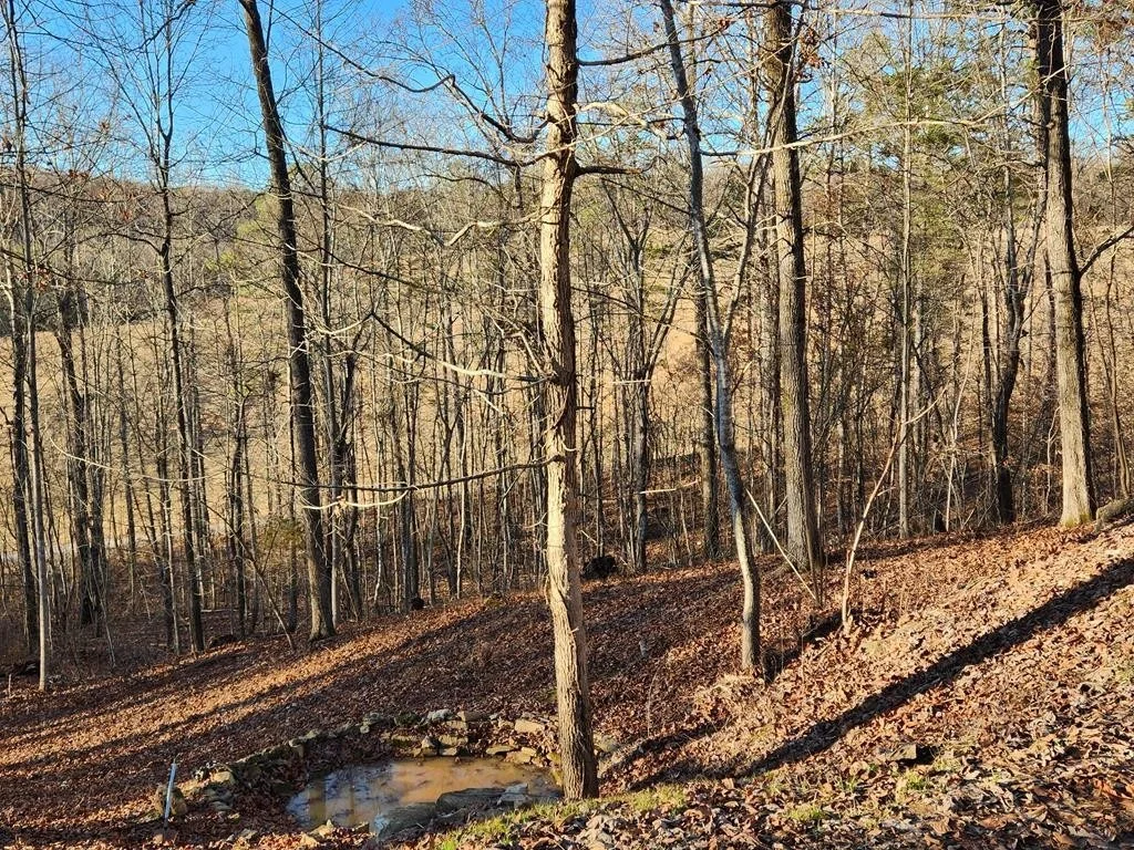 Photo of 1939 Hodgetown Road