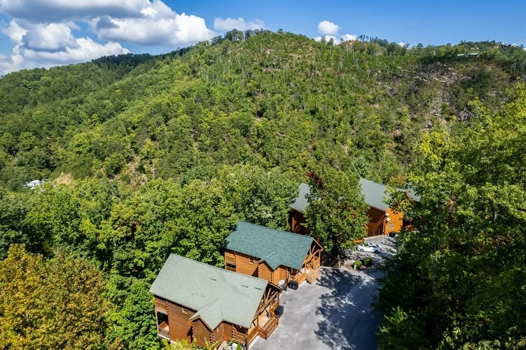 Photo of 854 Black Bear Cub Way