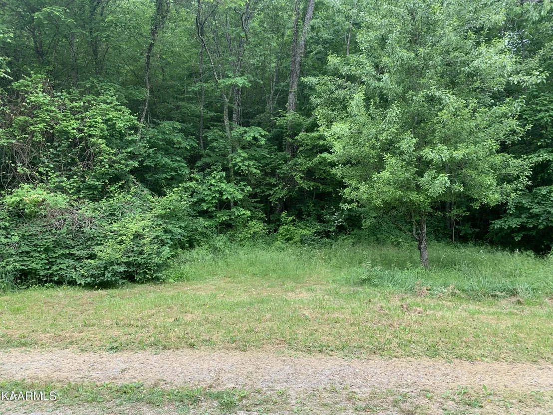 Photo of 1971 Steve Brown Rd