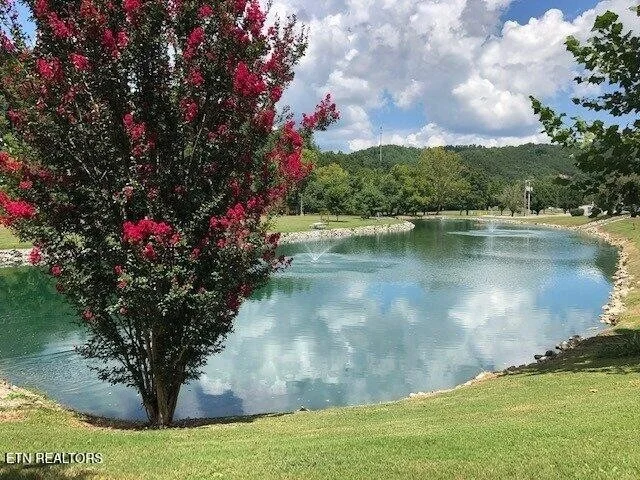 Photo of 449 Mountain Thrush Drive