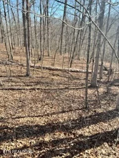 Photo of 41 Crystal Point