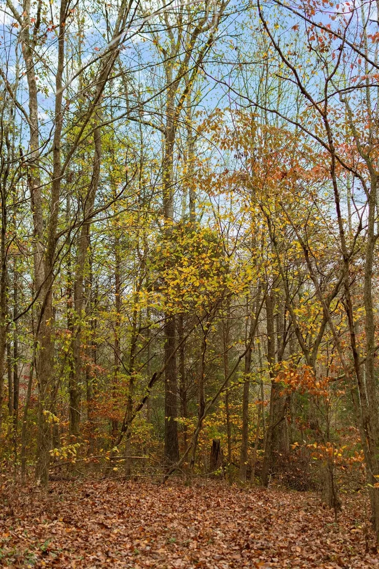 Photo of 1055 Wades Branch Rd