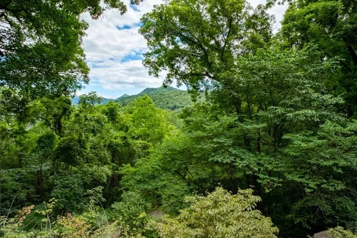 Photo of 3377 Thomaswood Trail