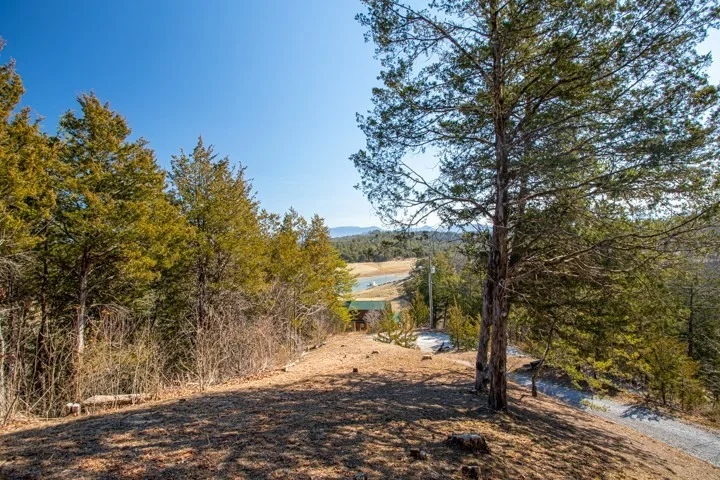 Photo of 345 Perry Branch Way