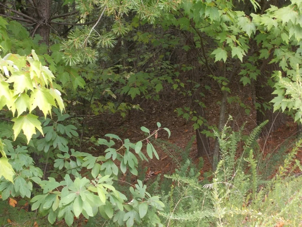 Photo of 0 Stackstone Road