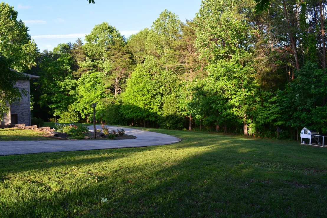 Photo of 466 County Road 264