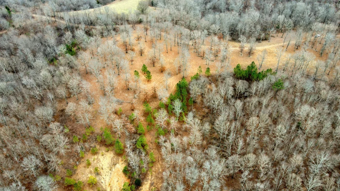 Photo of 1090 Brown Mill Rd