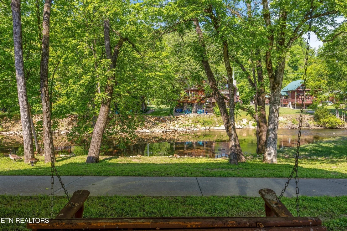 Photo of 566 Tanasi Tr