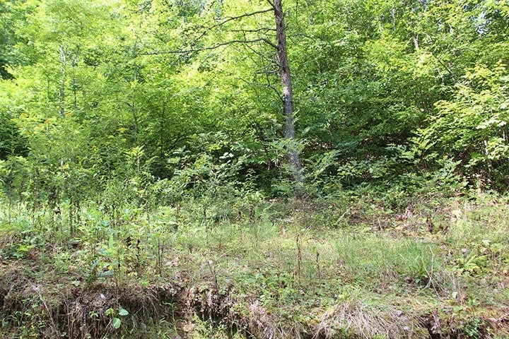 Photo of 479 Poor Valley Rd