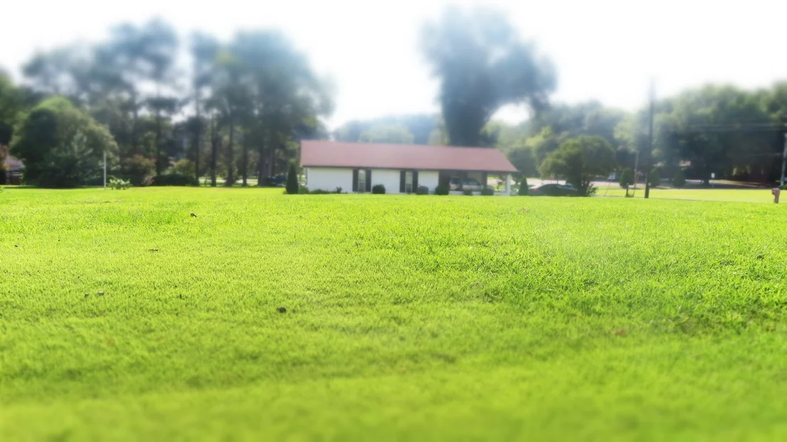 Photo of 19 Wallace Cv