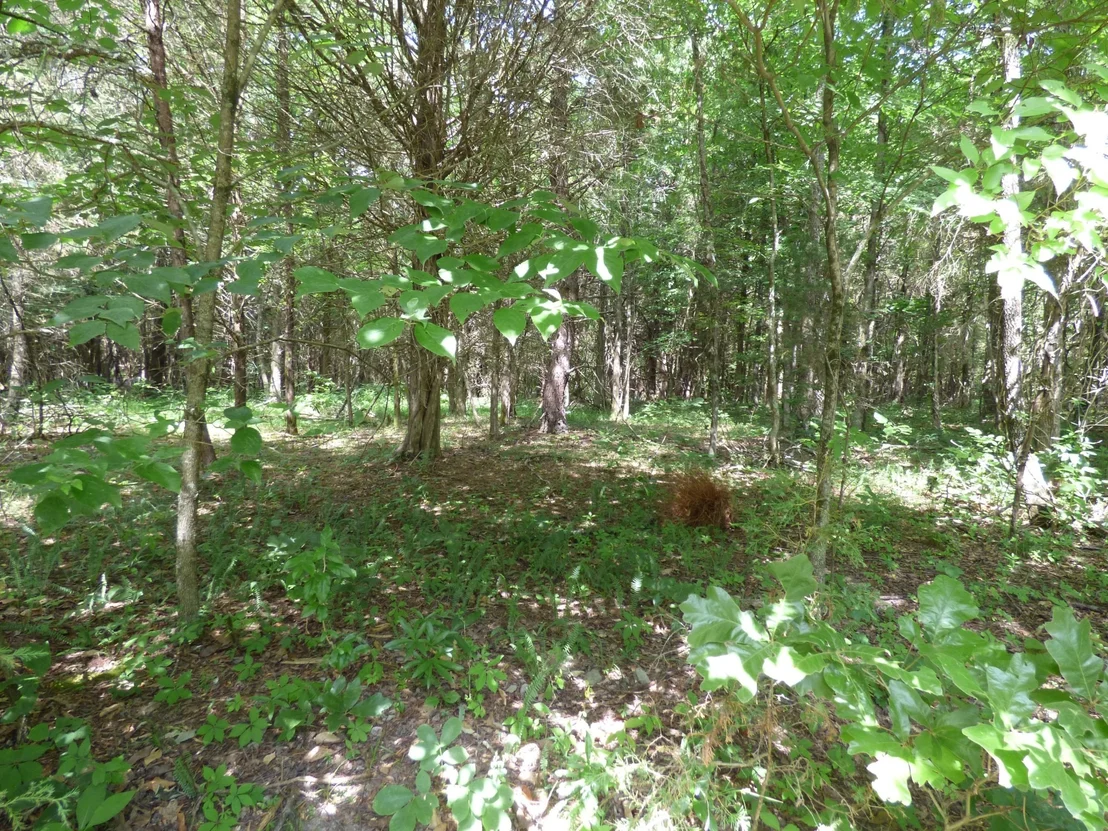 Photo of 1024 Mountain View Lane