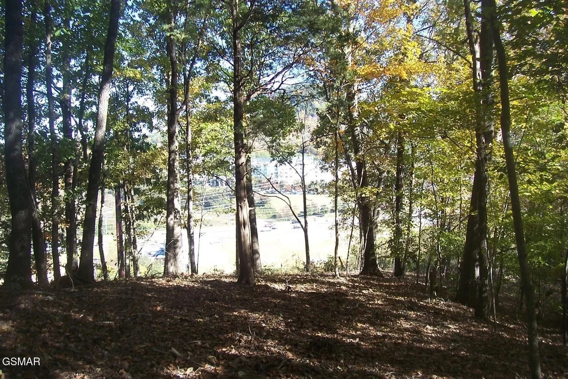 Photo of 4 Jake Thomas Road