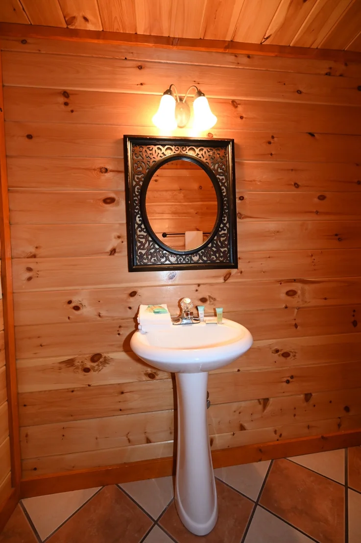 Photo of 1114 Black Bear Cub Way