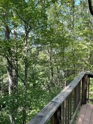 Photo of 624 Pinemont Drive
