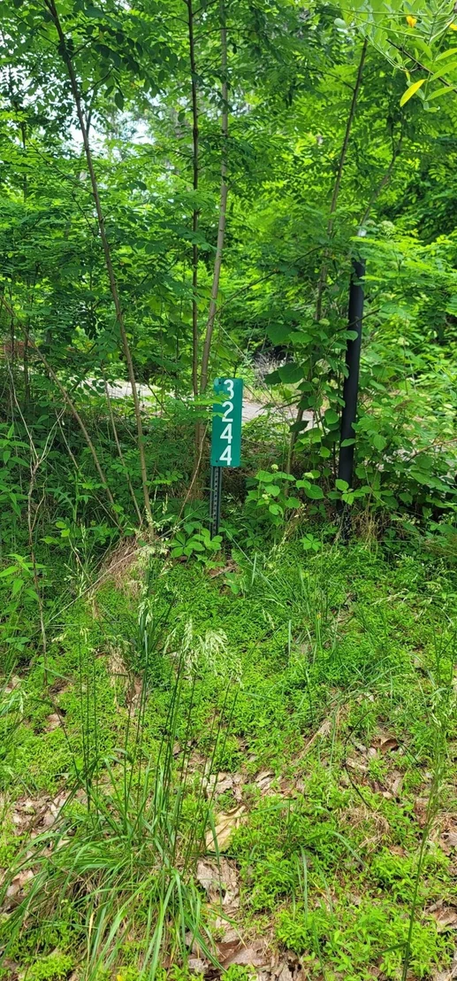 Photo of 3244 Emerald Springs Loop