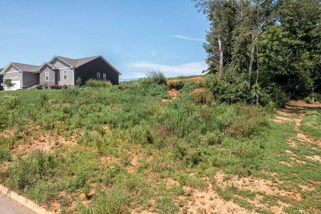 Photo of 47 Mockingbird Lane
