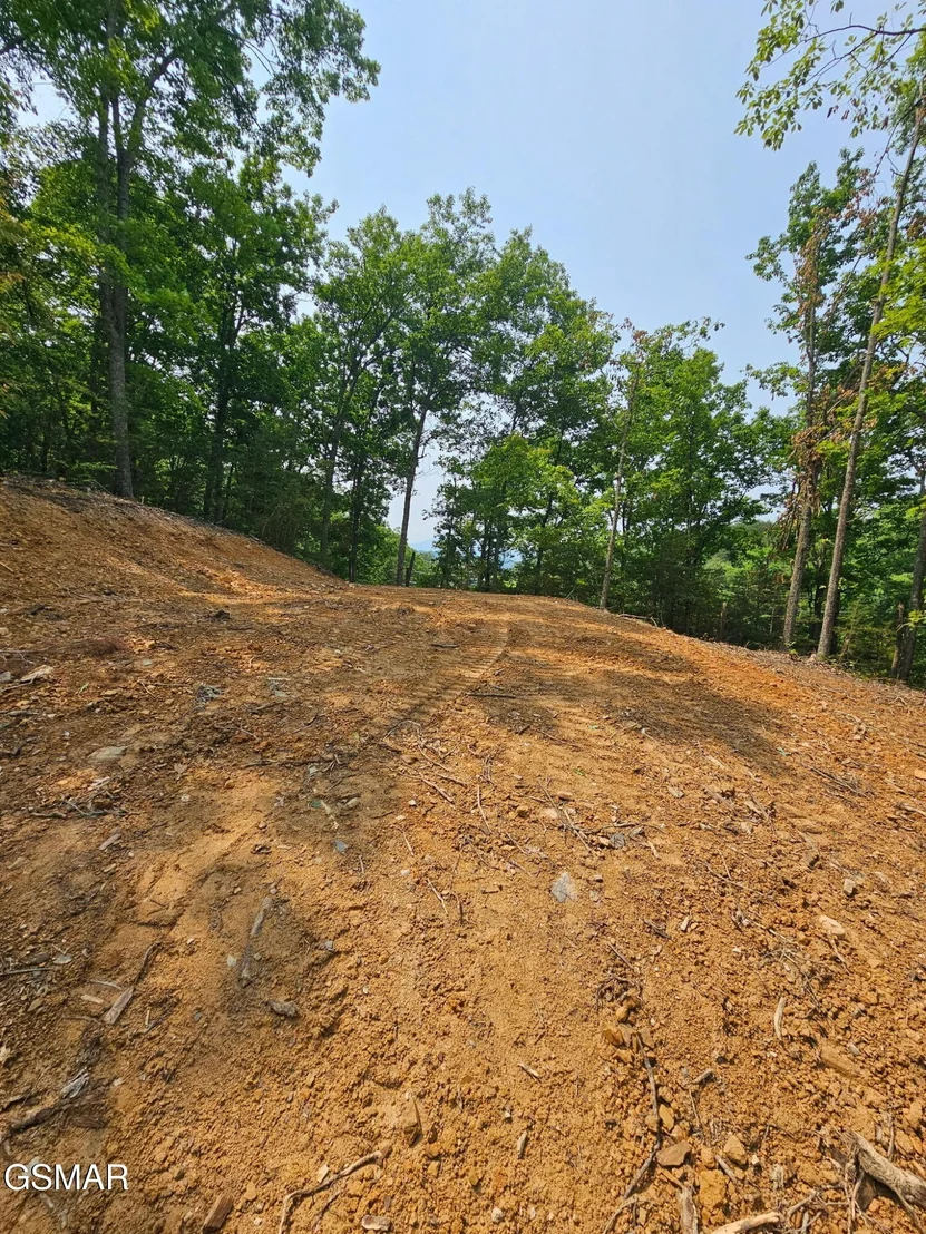 Photo of 124 Sharp Road