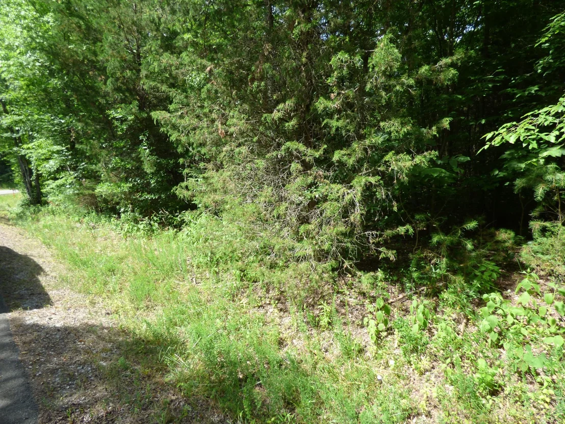 Photo of 1024 Mountain View Lane
