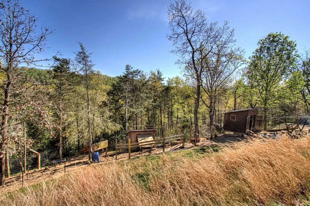 Photo of 2035 Mountain Spring Way