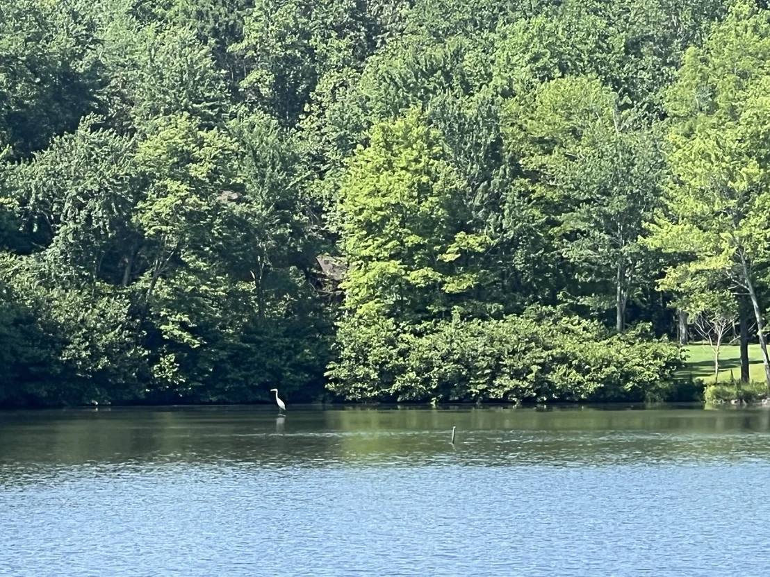 Photo of 33 Arrowhead Pt
