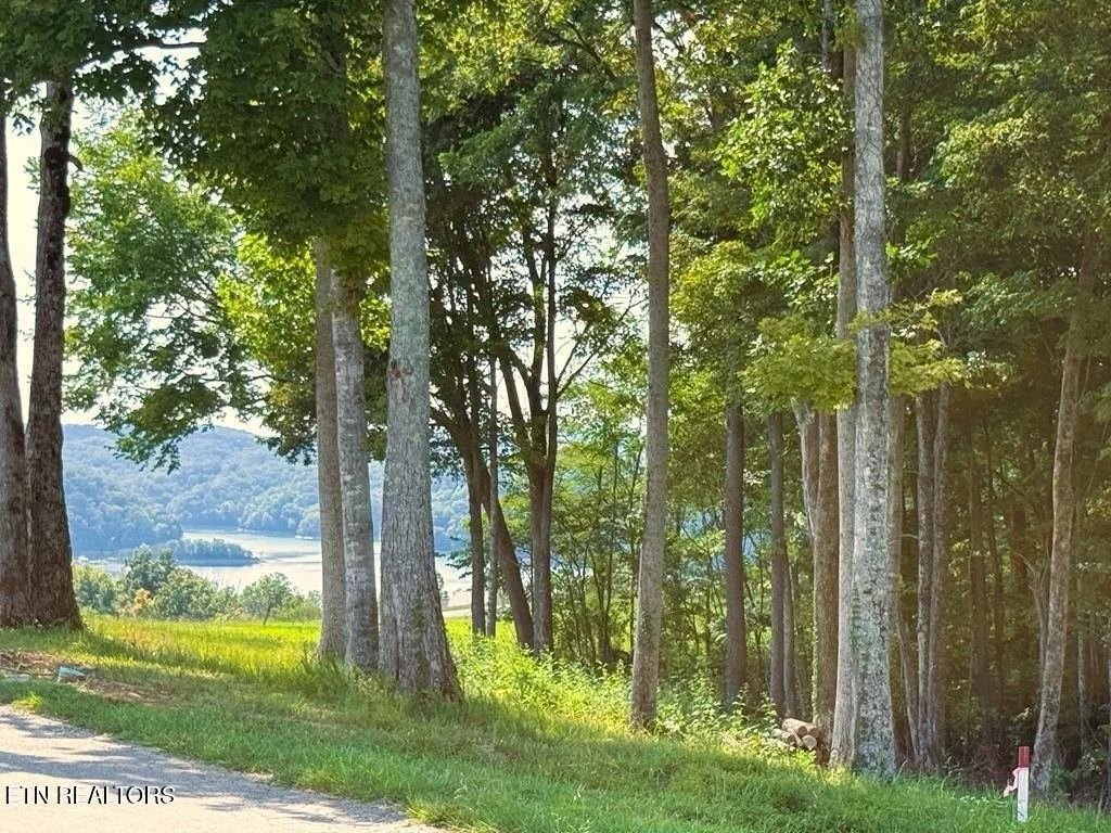 Photo of 41 Bald Eagle Rd