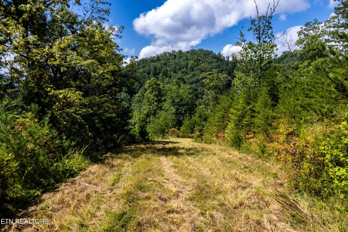 Photo of 3365 Flintlock Lane