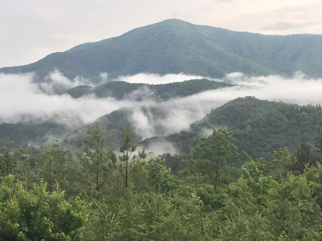 Photo of 4264 Round Top Way