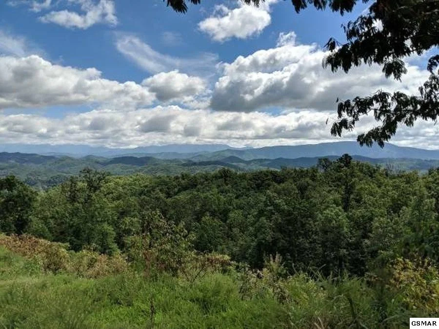 Photo of 3240 Laurel Cove Trail