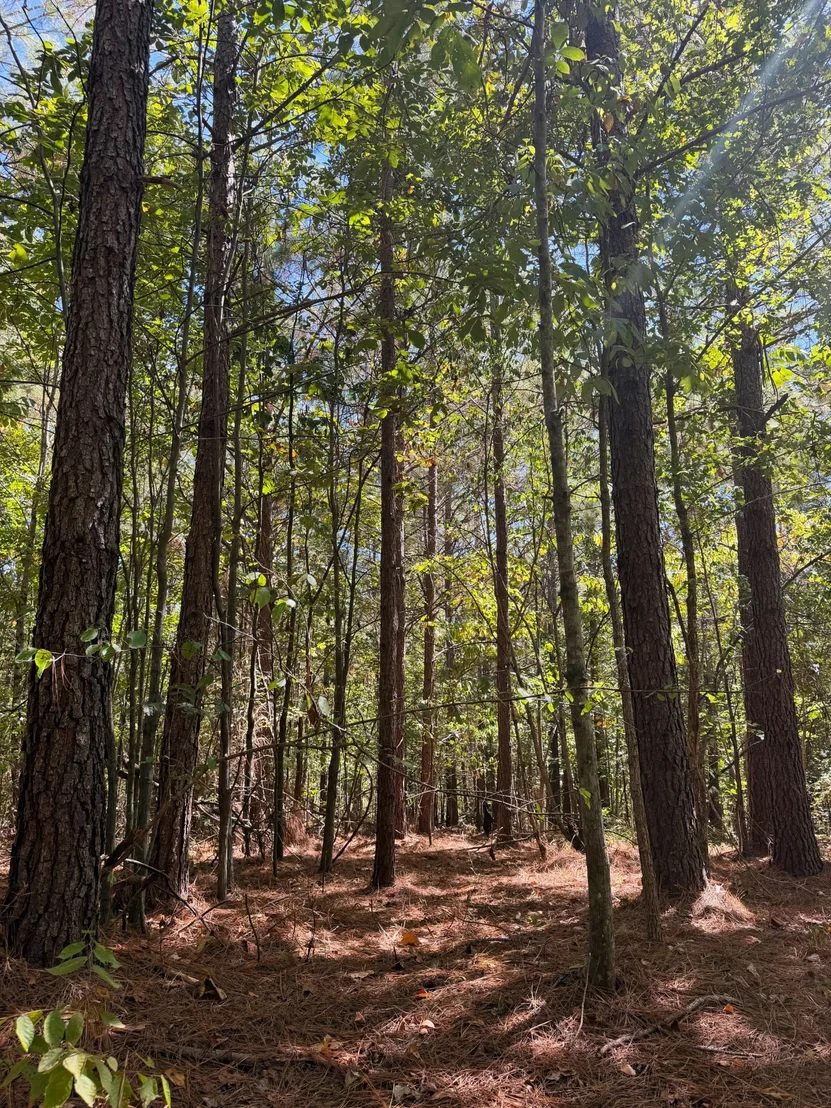 Photo of 0 Coy Hill Rd
