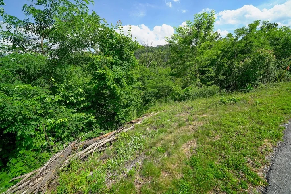 Photo of 714 Pinecrest Drive