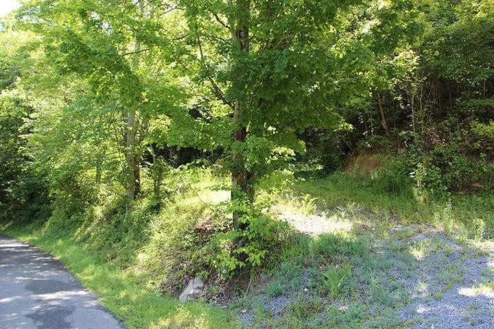 Photo of 479 Poor Valley Rd