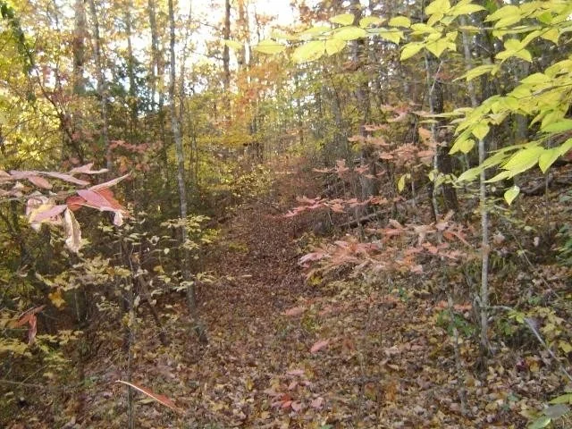 Photo of 138 Anatole Pass