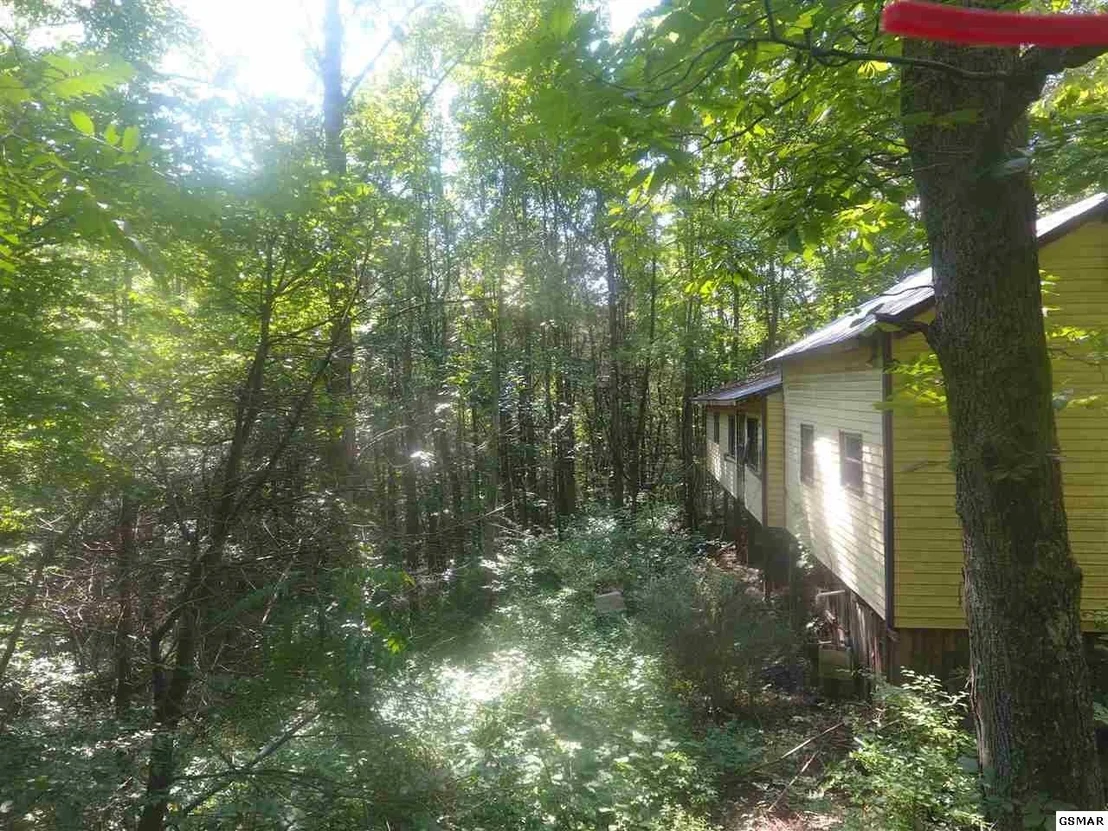 Photo of 3695 Shady Springs Way